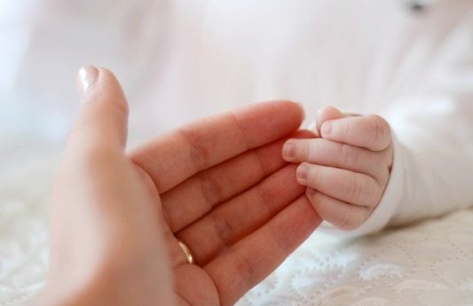 עו״ד ענת  נבו , נוטריון, צוואות, ייפוי כוח מתמשך, מסמך הבעת רצון, בטיחות בעבודה.